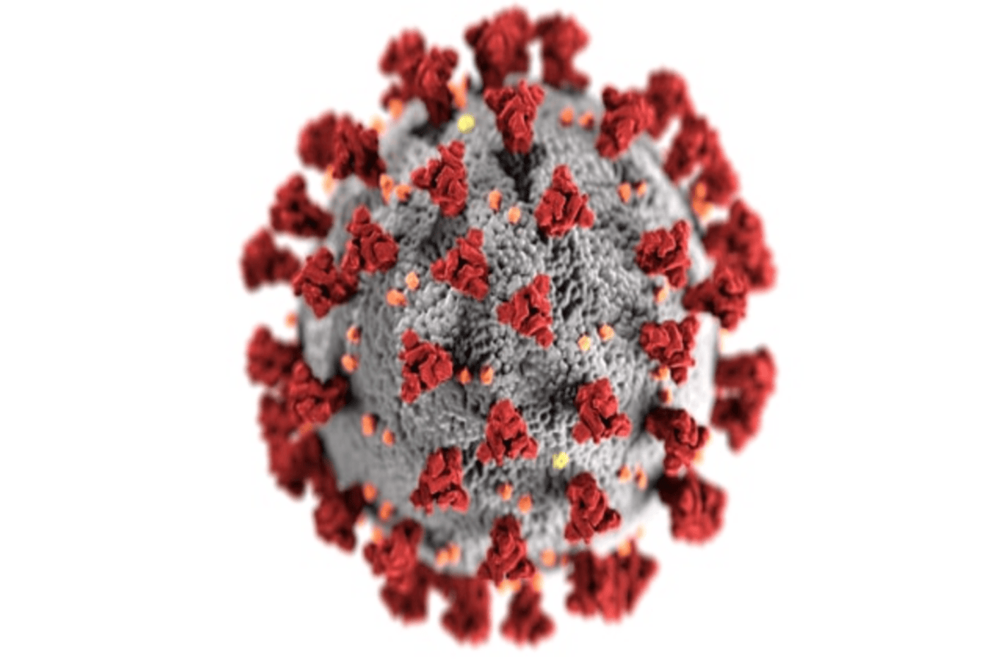 Schaubild Coronavirus