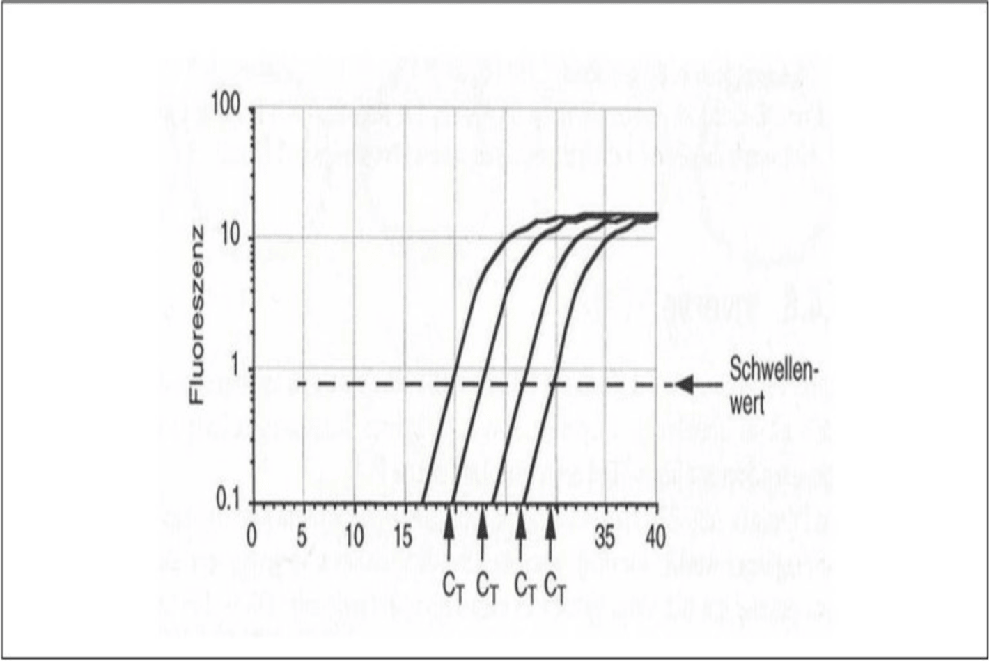 Schaubild zur Funktion von RT-PCR-Tests